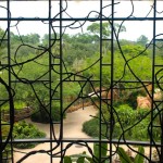 Disney's Animal Kingdom Lodge