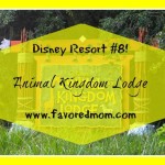 Animal Kingdom Lodge- Summer Fun