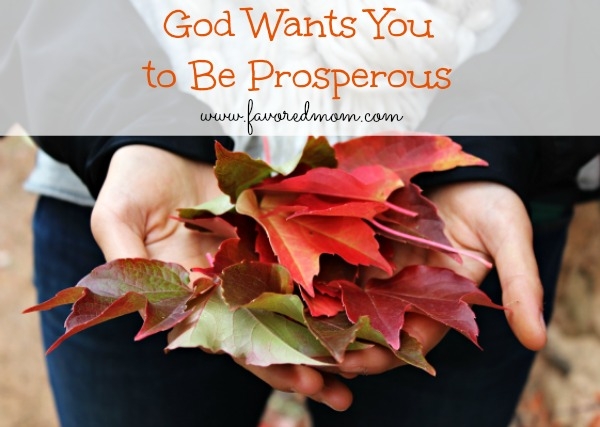 God Wants You to Be Prosperous