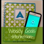 What is the Difference Between a Goal and a Checklist?