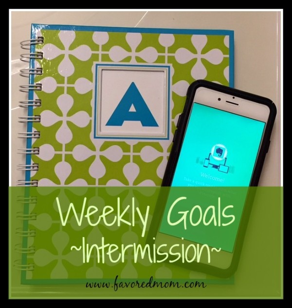 Weekly Goals Intermission