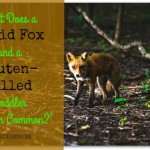 What Does a Rabid Fox and a Gluten-filled Toddler Have in Common?