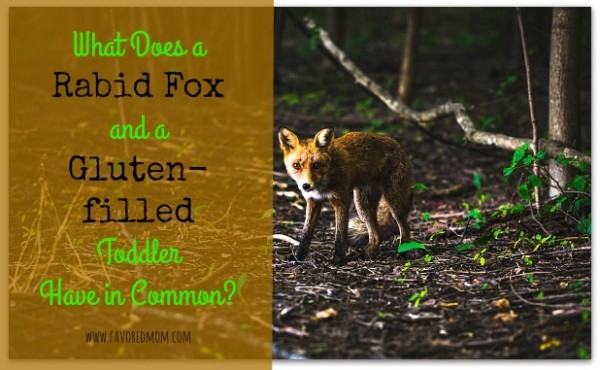 What Does a Rabid Fox and a Gluten-filled Toddler Have in Common?