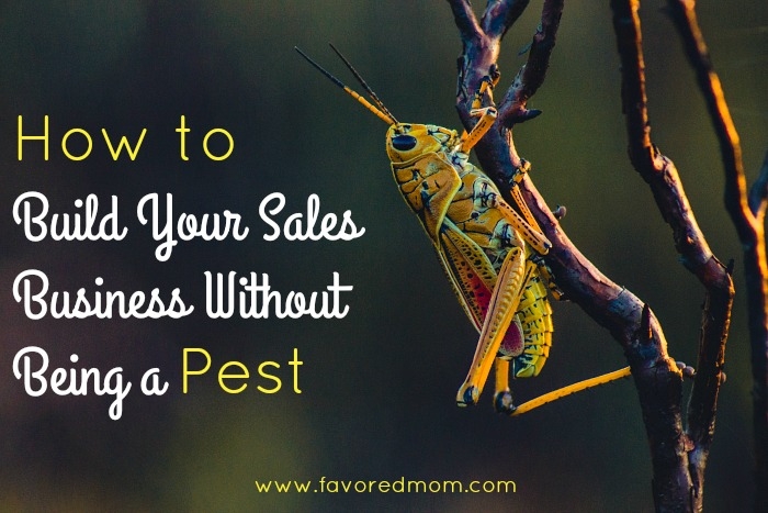 How to Build Your Sales Business Without Being a Pest | FavoredMom.com