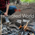 How to Live Fulfilled in a Frustrated World