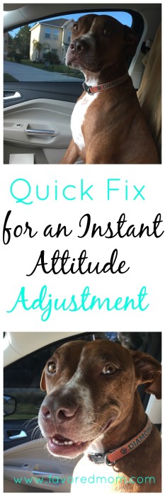 Quick Fix for an Instant Attitude Adjustment | FavoredMom.com