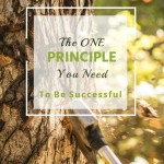 The One Principle You Need to Be Successful