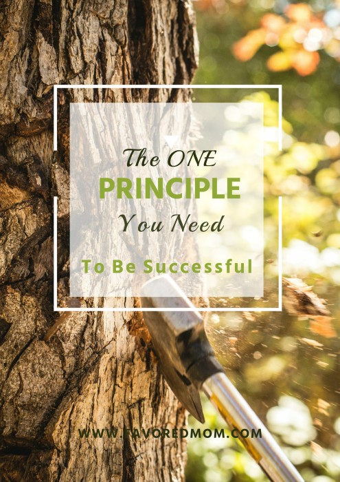 The One Principle You Need to Be Successful | FavoredMom.com