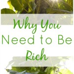 Why You Need to Be Rich