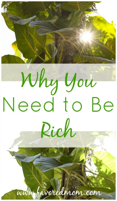 Why You Need to Be Rich | FavoredMom.com